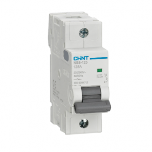 CHINT NB8-125 Moulded Case Circuit Breaker