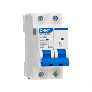 CHINT NXB-63G Moulded Case Circuit Breaker (MCCB)