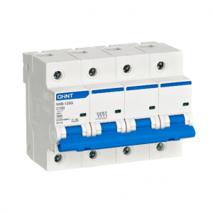 CHINT NXB-125G Miniature Circuit Breaker