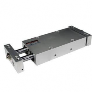 SMC CXW Dual Piston Double Rod with Slide Unit Built-in Shock Absorbers